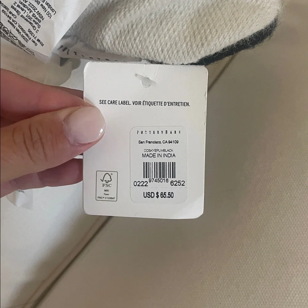 Pottery barn pillow